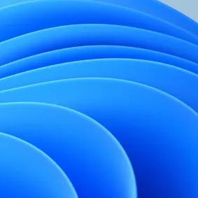 team member profile image